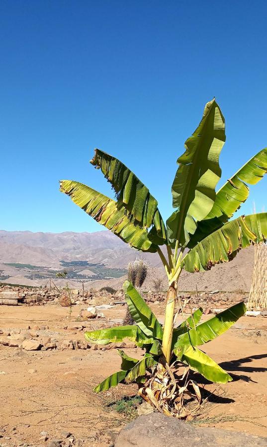 Campo De Cielo Mamalluca Valle De Elqui Vicuña Exterior foto